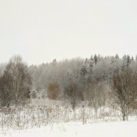 Даже самые сильные метели начинаются с одной снежинки. :: Анастасия Логинова Даже самые сильные метели начинаются с одной снежинки. :: Анастасия Логинова