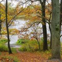 Ашманн парк, Калининград :: Рита Симонова