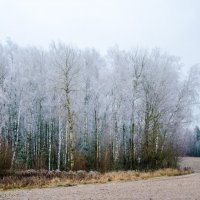 _______ :: Галина Ложечникова