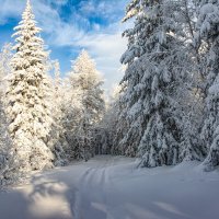 Зимний день :: Vladimbormotov 
