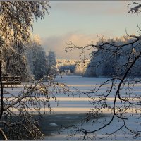 *** :: Aleksandr Gal