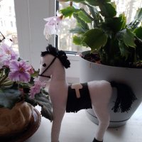 *** :: Валентина Береснева