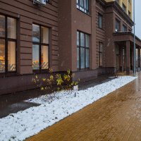 Остатки осени на улице :: Александр Синдерёв