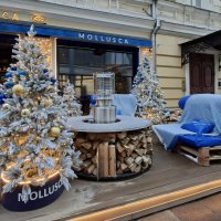 Новогодний уют :: ИРЭН@ .