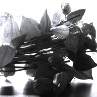 пРо - воспоминания.... :: Сергей 