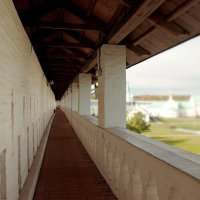 На стене. :: веселов михаил 