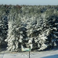 солнечный денек :: Владимир 