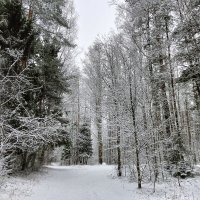 природа :: Владимир 