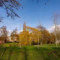 Предчувствие весны... :: Николай Гирш