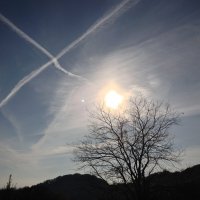 Поляна по дороге на Орлиные скалы :: Tata Wolf