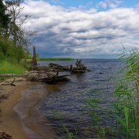 Пейзаж :: Вячеслав Алтай