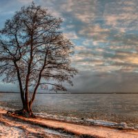 *** :: Сергей Григорьев