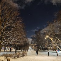 Вечерняя прогулка :: Андрей 