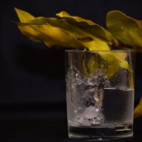 Буря в стаканею :: Юрий Полторыхин.