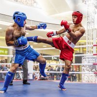 Кикбоксинг :: SanSan 