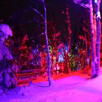 Сказки Таинственного леса :: Ольга 