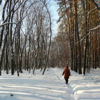 Про Красную  шапочку... :: Андрей Заломленков
