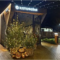 Кафе. :: Валерия Комова