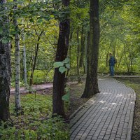 Зарисовка в лесопарке :: Владимир Кроливец