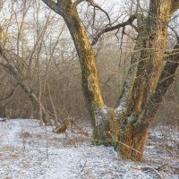 ***** :: юрий поляков