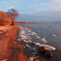 *** :: Сергей Григорьев