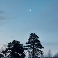 Новогоднее настроение :: Галина Минчук