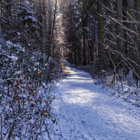 Зимняя дорога. :: Lucy Schneider 