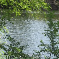 Июль :: Елена Шаламова