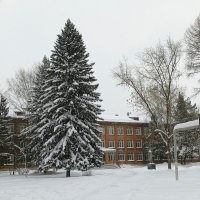 Зимний пейзаж . :: Мила Бовкун