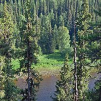 Река внизу. :: ВикТор Быстров