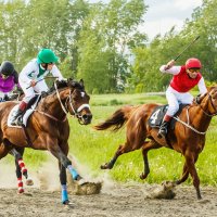 Скачки :: SanSan 