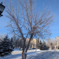 Утром в городе :: Андрей Хлопонин