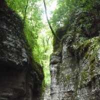 АГУРСКИЕ ВОДОПАДЫ СОЧИ :: Tata Wolf