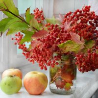 Букет осенний с палитрой красных красок :: Надежда Куркина 