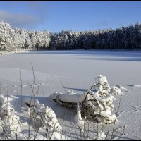 Зима пришла на озеро :: Aleksandr Gal