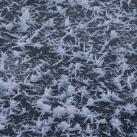 Только что формировавшийся лёд :: Георгий А