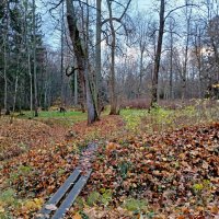 Мостик в осень. :: Лия ☼