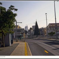 Израиль Хайфа предновогодняя  2025г :: ujgcvbif 