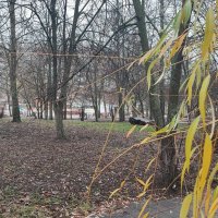 ,,, :: Сергей Тимоновский