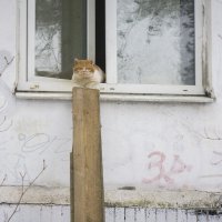 *** :: Владимир Носов *** :: Владимир Носов