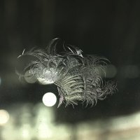 Морозное кружево на стеклянном полотне :: Владислав Левашов