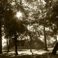 В усадьбе Рериха :: Наталья 