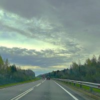 Дорога и нескончаемый лес... :: Olga Oskolkova