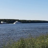 Лето 2025. Август :: Наталья Герасимова