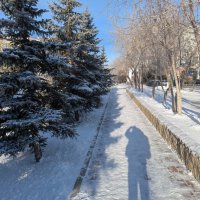 Тени исчезают в полдень :: Андрей Хлопонин