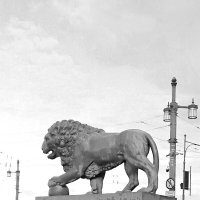 Лев на  углу Адмиралтейского  проспекта и Дворцового  моста :: Фотогруппа Весна