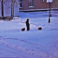С морозного утра на прогулку с собачками! :: Владимир 