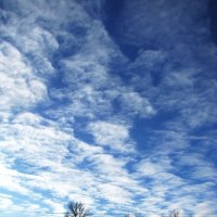 Декабрьский денёк :: Людмила Смородинская