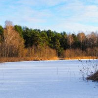 Природа в конце декабря. :: Милешкин Владимир Алексеевич 