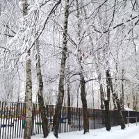 Снежным днем :: Елена Семигина